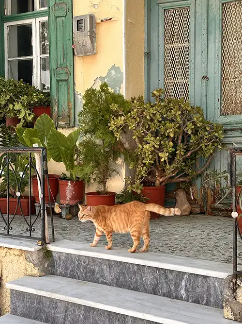 404 Samos Feribot Bileti sitesinde aradığınız sayfa bulunamadı!